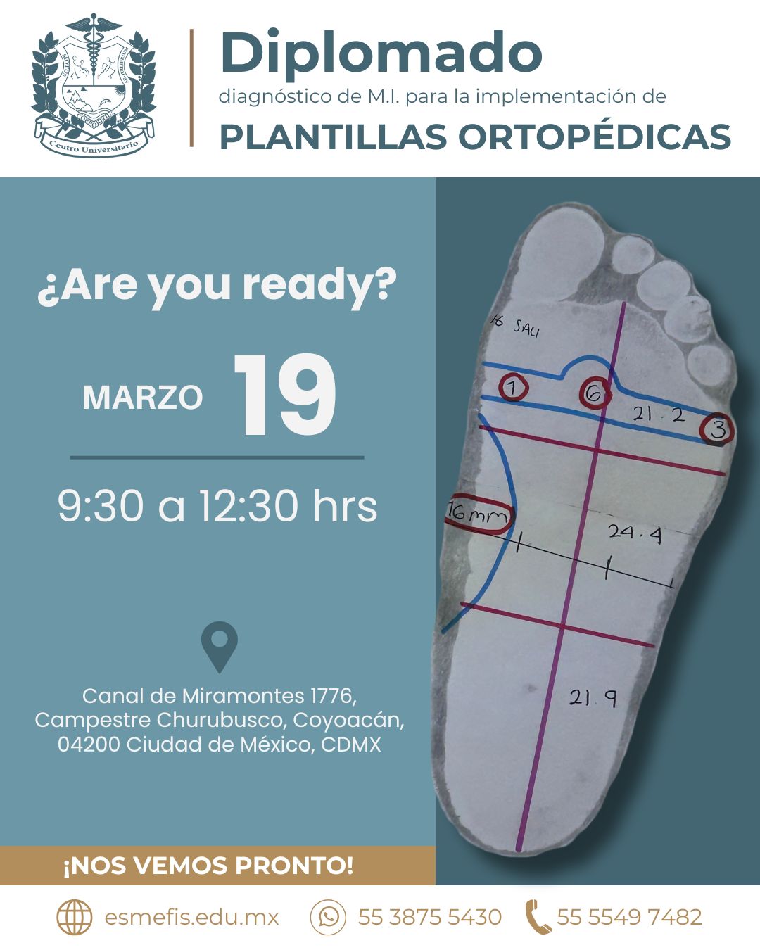 diplomado de plantillas